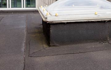 disadvantages of East Bower flat roofs